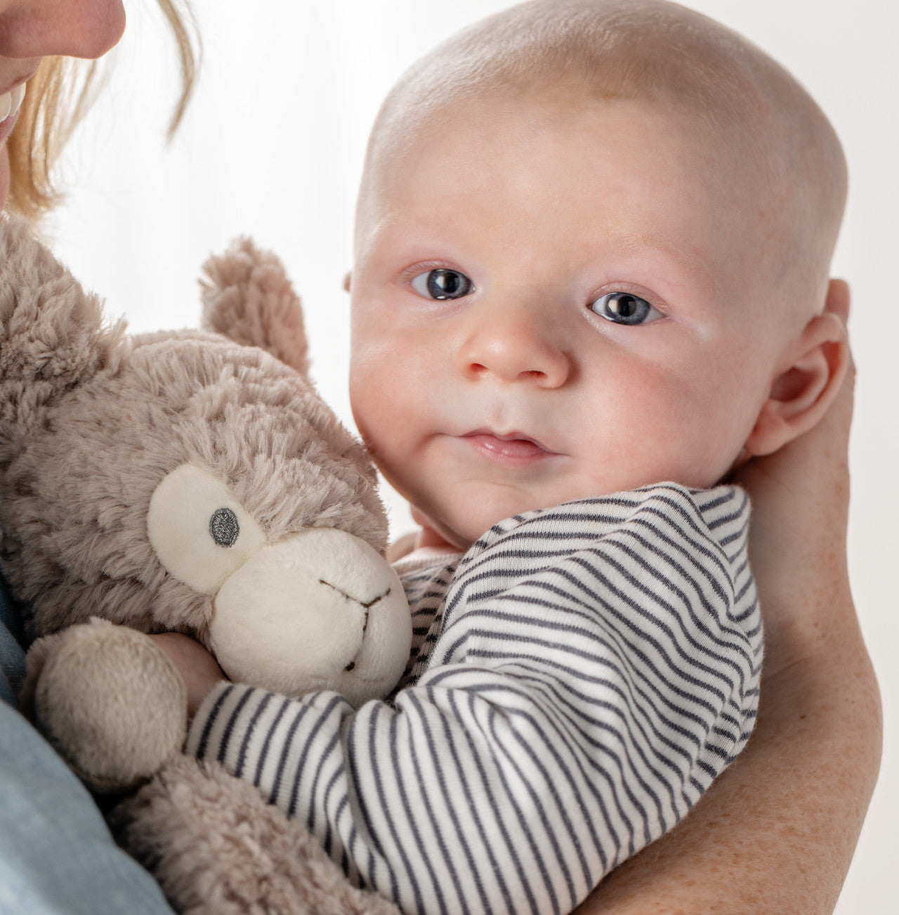 Baby holding a teddy bear against a plain background
