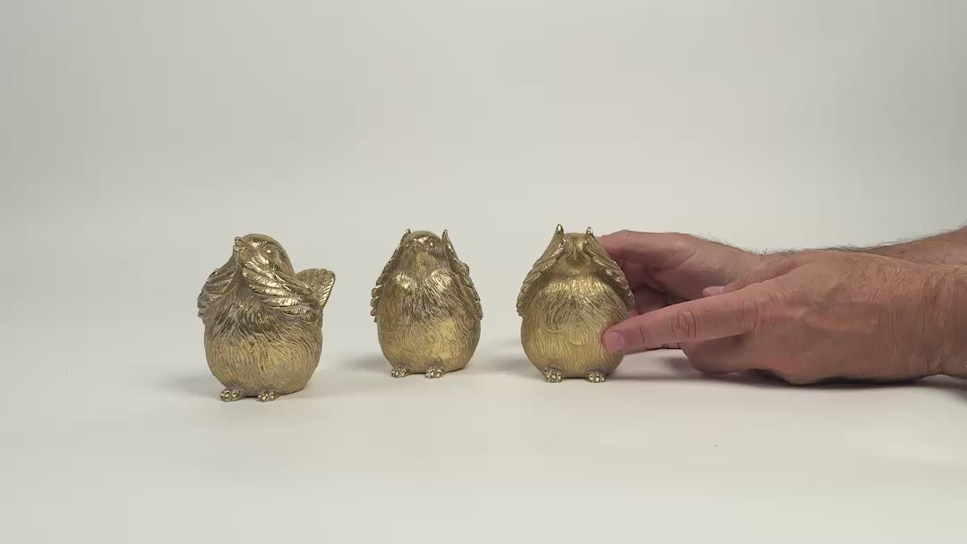 Load video: Decor - Gold Bird Set - See, Speak, Hear