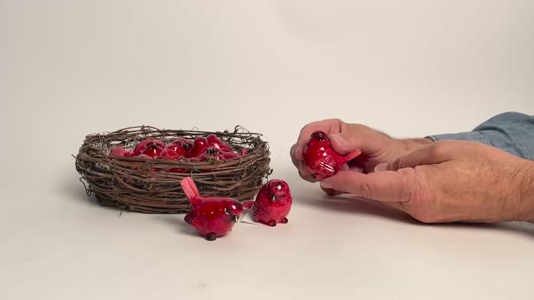 Load video: Vdeo of Two's Company red cardinals 